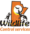 Winnipeg Wildlife Control Services